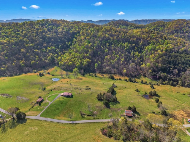 3003 Cantwell Valley Rd, Sneedville, TN 37869 - photo 9