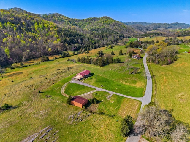3003 Cantwell Valley Rd, Sneedville, TN 37869 - photo 8