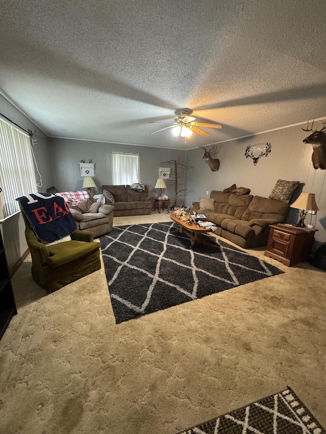 3003 Cantwell Valley Rd, Sneedville, TN 37869 - photo 10