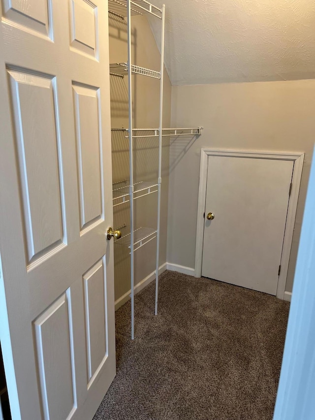 spacious closet featuring dark carpet