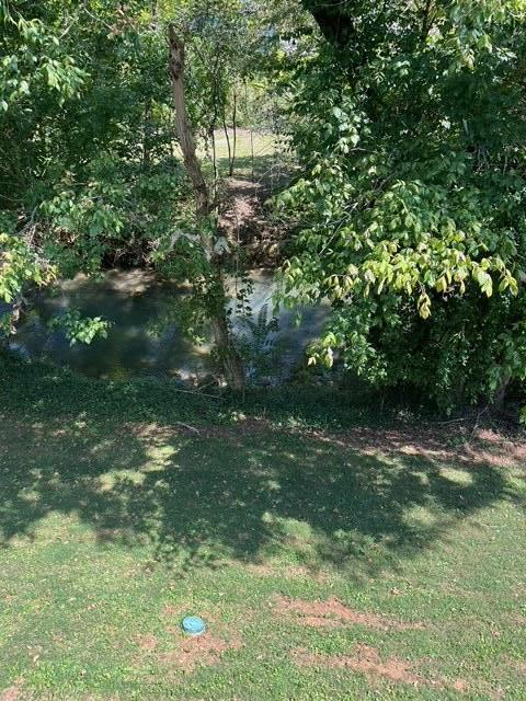 view of yard with a water view