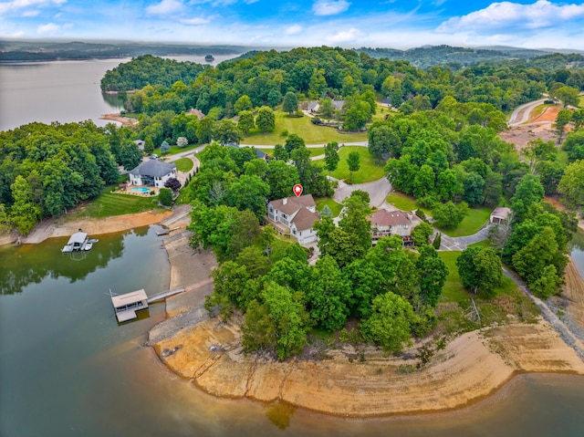 1647 Talon Ct, Talbott, TN 37877 - aerial overview of property's location featuring a nearby body of water