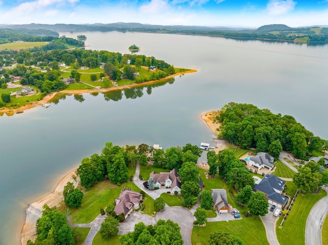 1647 Talon Ct, Talbott, TN 37877 - aerial view of residential area featuring a nearby body of water