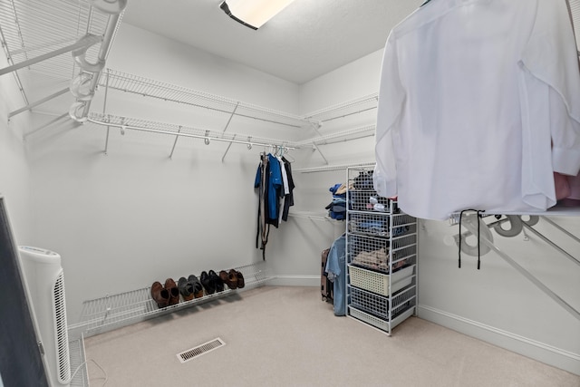 1647 Talon Ct, Talbott, TN 37877 - spacious closet featuring carpet floors