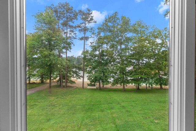 1647 Talon Ct, Talbott, TN 37877 - view of green lawn