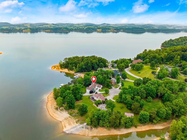 1647 Talon Ct, Talbott, TN 37877 - aerial view of a nearby body of water
