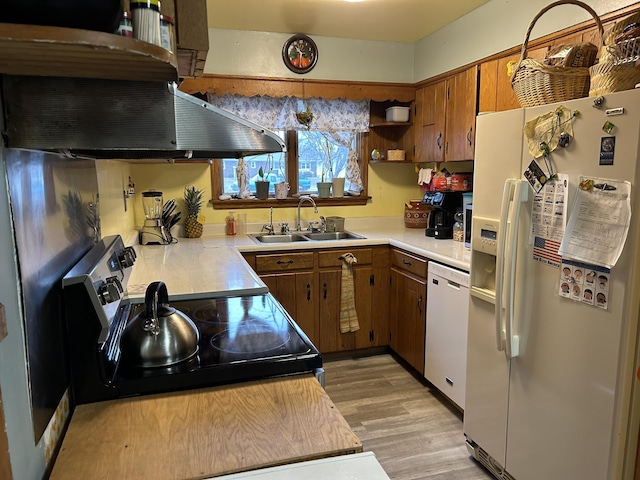 kitchen with ventilation hood, light hardwood / wood-style floors, white appliances, and sink