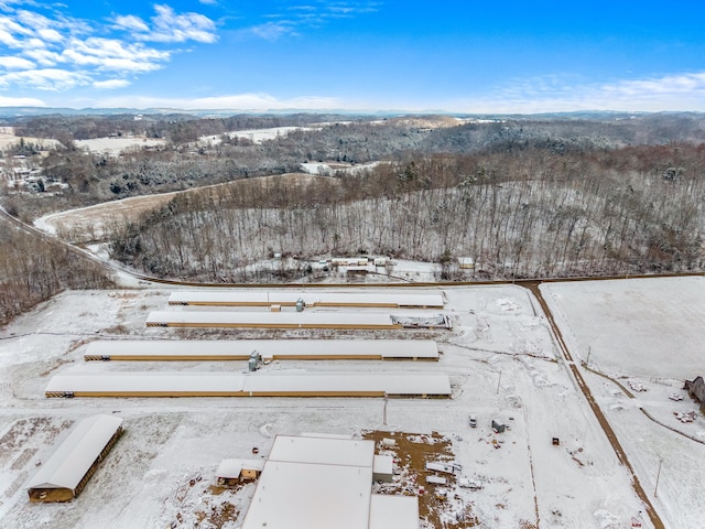 0 Warrensburg Rd, Midway, TN 37809 - photo 3
