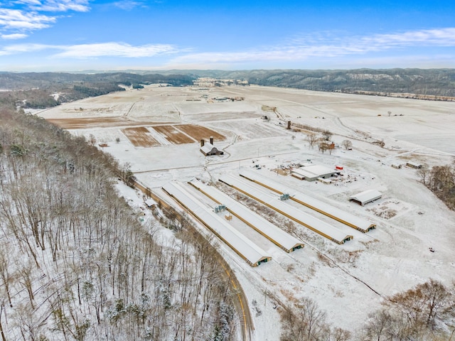 0 Warrensburg Rd, Midway, TN 37809 - photo 1