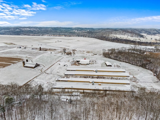 0 Warrensburg Rd, Midway, TN 37809 - photo 6