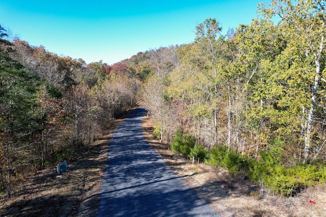 Listing photo 2 for LOT86 Stone Bridge Dr, Dandridge TN 37725