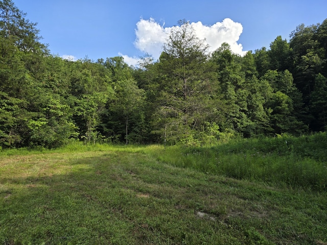865 Byrd Rd, Sneedville, TN 37869 - photo 5