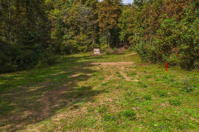 865 Byrd Rd, Sneedville, TN 37869 - photo 41