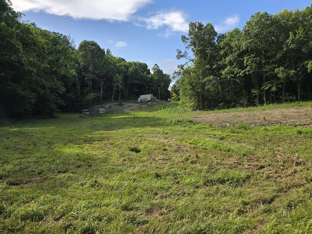 865 Byrd Rd, Sneedville, TN 37869 - photo 6