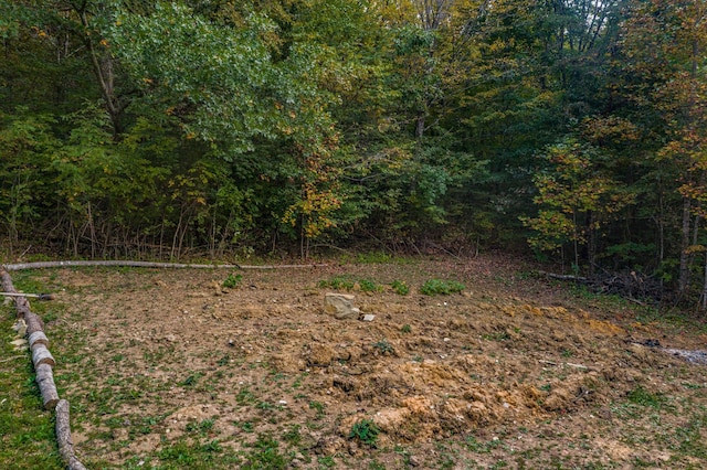 865 Byrd Rd, Sneedville, TN 37869 - photo 28