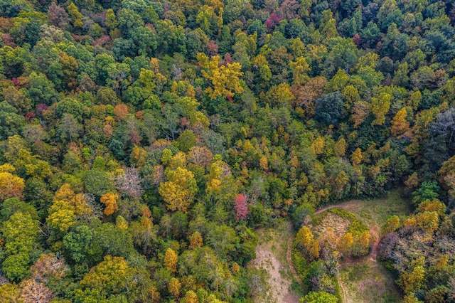 865 Byrd Rd, Sneedville, TN 37869 - photo 13