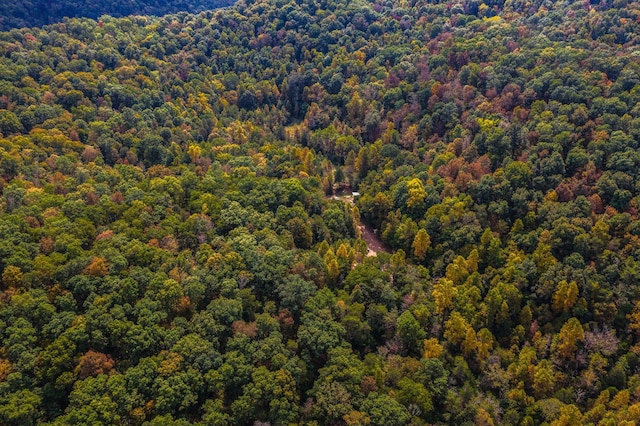 865 Byrd Rd, Sneedville, TN 37869 - photo 20