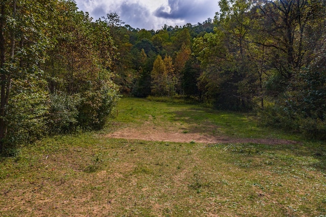 865 Byrd Rd, Sneedville, TN 37869 - photo 43