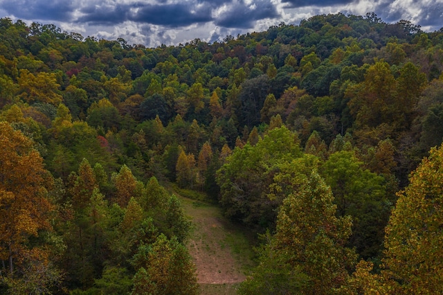 865 Byrd Rd, Sneedville, TN 37869 - photo 17