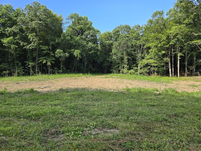 865 Byrd Rd, Sneedville, TN 37869 - photo 7