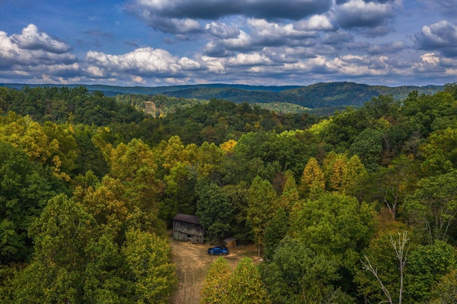 865 Byrd Rd, Sneedville, TN 37869 - photo 16
