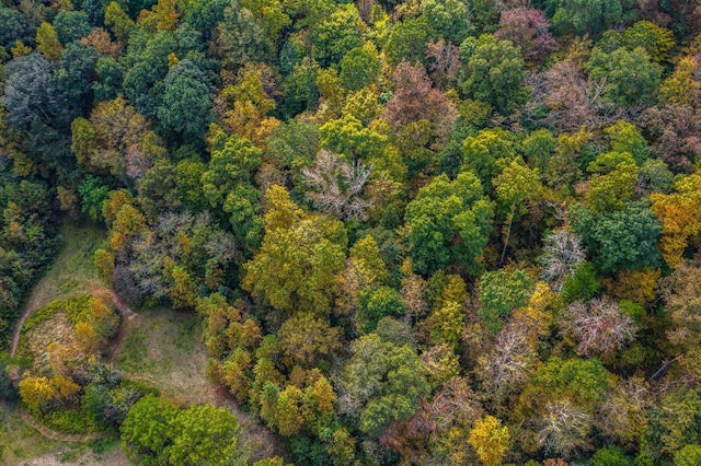 865 Byrd Rd, Sneedville, TN 37869 - photo 14