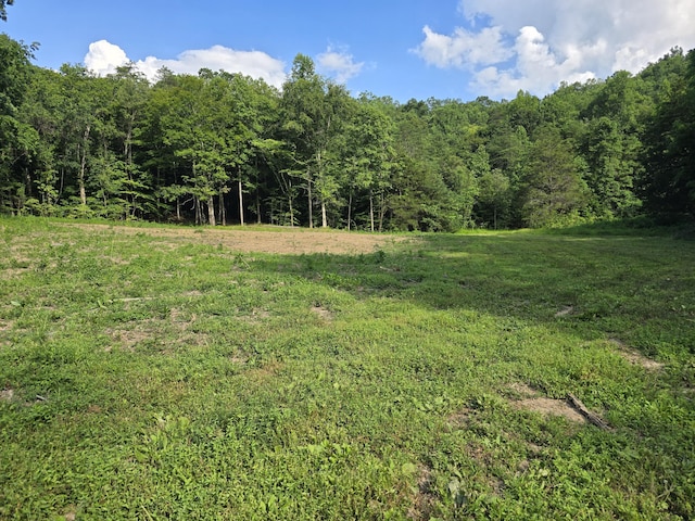 865 Byrd Rd, Sneedville, TN 37869 - photo 3