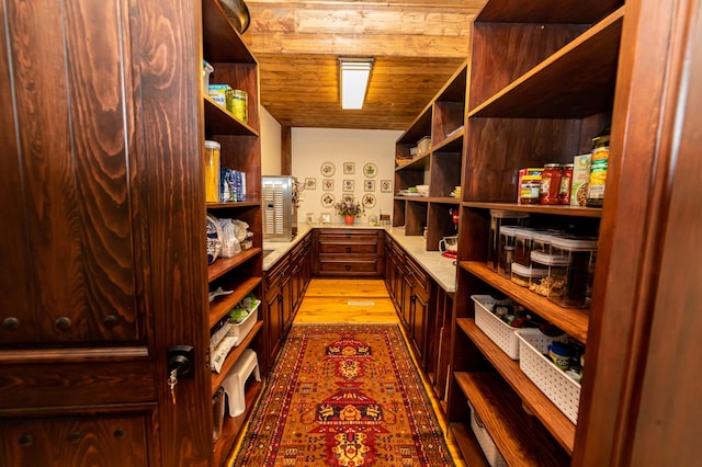 view of pantry