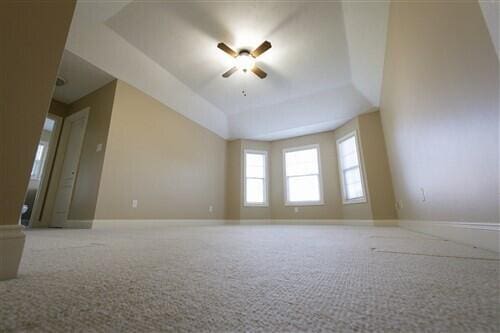 unfurnished room featuring carpet flooring, a raised ceiling, and ceiling fan