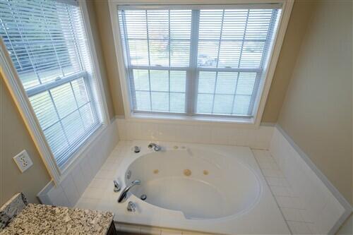 bathroom with vanity, a tub, and a wealth of natural light