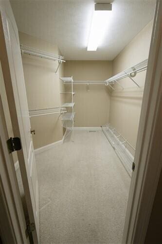 spacious closet featuring carpet flooring