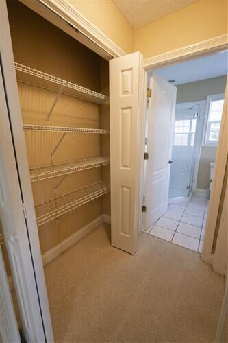 view of closet