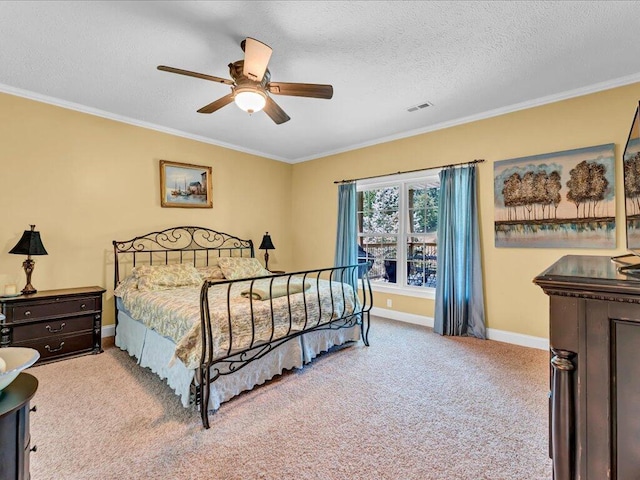 1616 Sequoyah Dr, Mooresburg, TN 37811 - photo 35