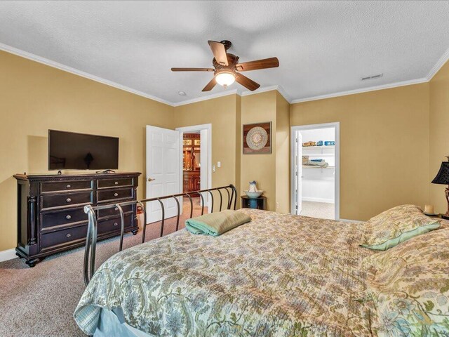1616 Sequoyah Dr, Mooresburg, TN 37811 - photo 36