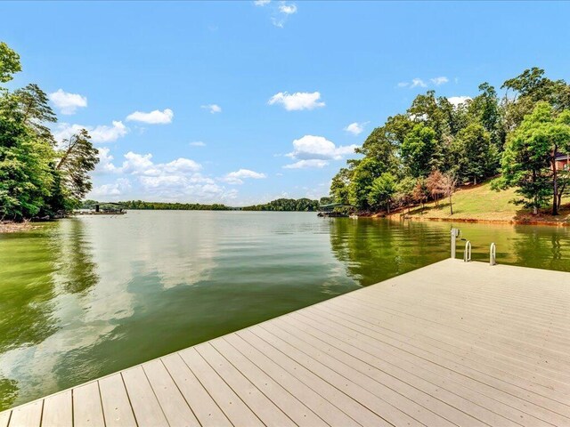 1616 Sequoyah Dr, Mooresburg, TN 37811 - photo 53