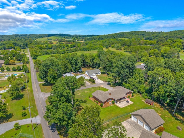 389 Economy Cir, Dandridge, TN 37725 - photo 36