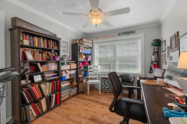 389 Economy Cir, Dandridge, TN 37725 - photo 26