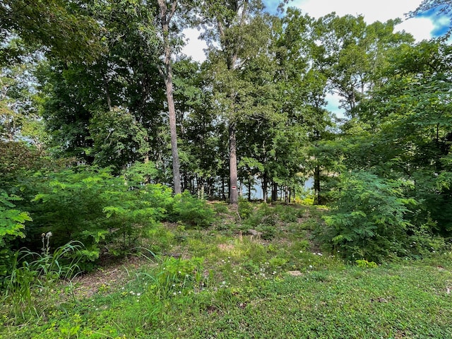 1147 Lakefront Pl, Baneberry, TN 37890 - photo 17