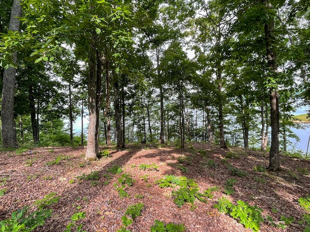 1147 Lakefront Pl, Baneberry, TN 37890 - photo 15