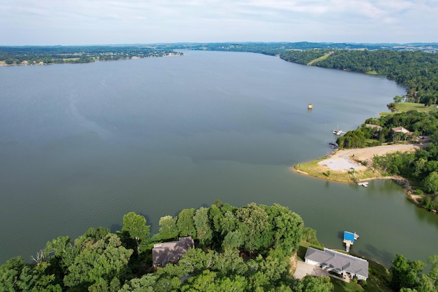 1147 Lakefront Pl, Baneberry, TN 37890 - photo 13