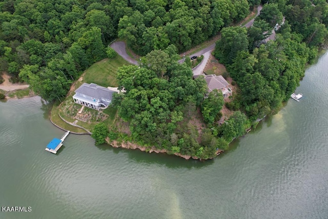 1147 Lakefront Pl, Baneberry, TN 37890 - photo 4