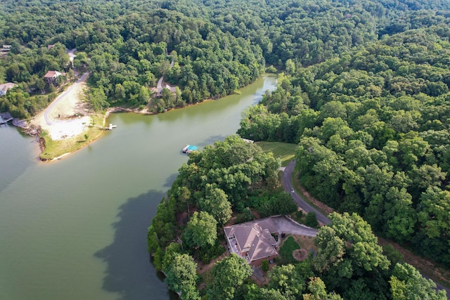 1147 Lakefront Pl, Baneberry, TN 37890 - photo 12