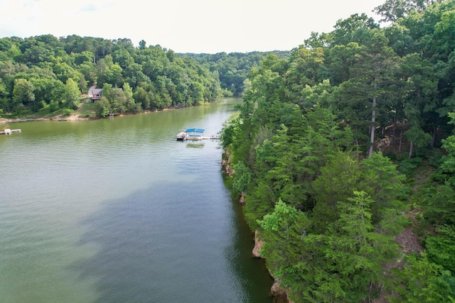 1147 Lakefront Pl, Baneberry, TN 37890 - photo 18