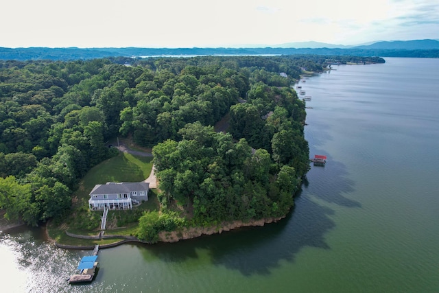 1147 Lakefront Pl, Baneberry, TN 37890 - photo 2