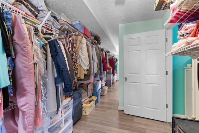 spacious closet with light wood-type flooring