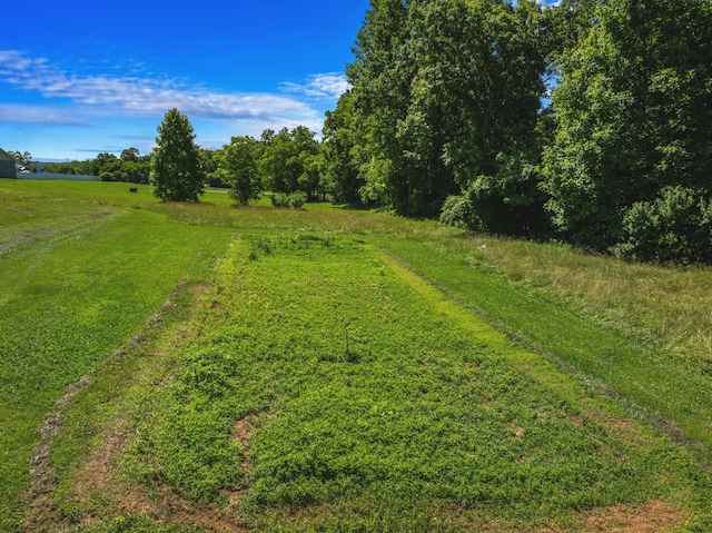 view of yard featuring a rural view