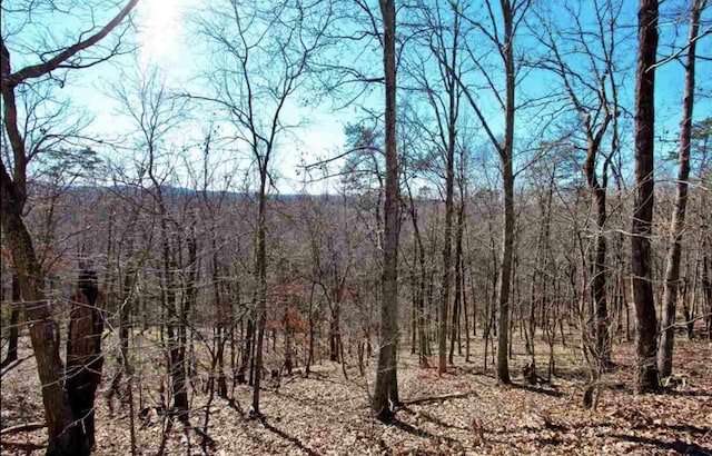 1410 Echota Ln, Mooresburg, TN 37811