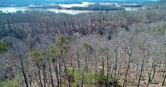 1410 Echota Ln, Mooresburg, TN 37811