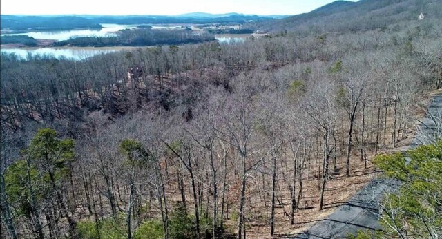 1410 Echota Ln, Mooresburg, TN 37811