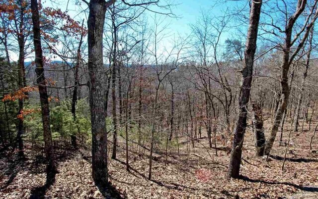 1410 Echota Ln, Mooresburg, TN 37811
